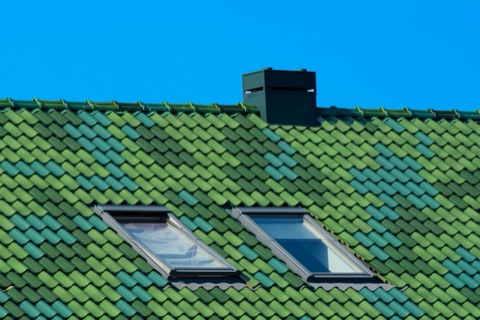 Deux fenêtres de toit dans un toit de tuiles vertes, Velux et coupoles à Liège